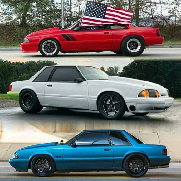 Meet your Posher, Michael - Picture 1 of 1